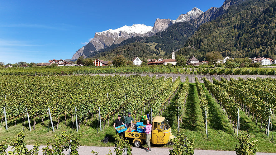 Chardonnay Limited Edition 2025